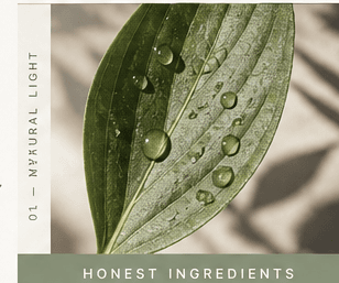 Close-up of a fresh leaf with water droplets